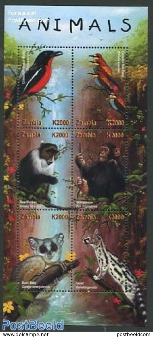 Zambia 2001 African Fauna 6v M/s, Mint NH, Nature - Animals (others & Mixed) - Birds - Monkeys - Zambie (1965-...)