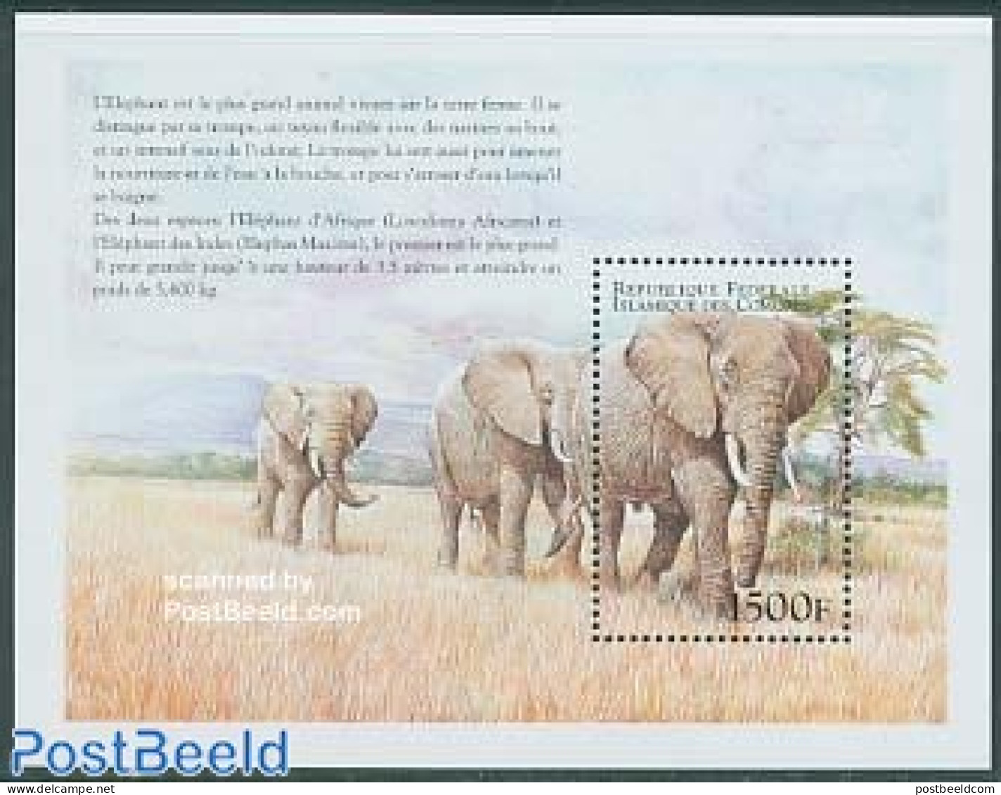Comoros 1999 African Elephant S/s, Mint NH, Nature - Animals (others & Mixed) - Elephants - Komoren (1975-...)