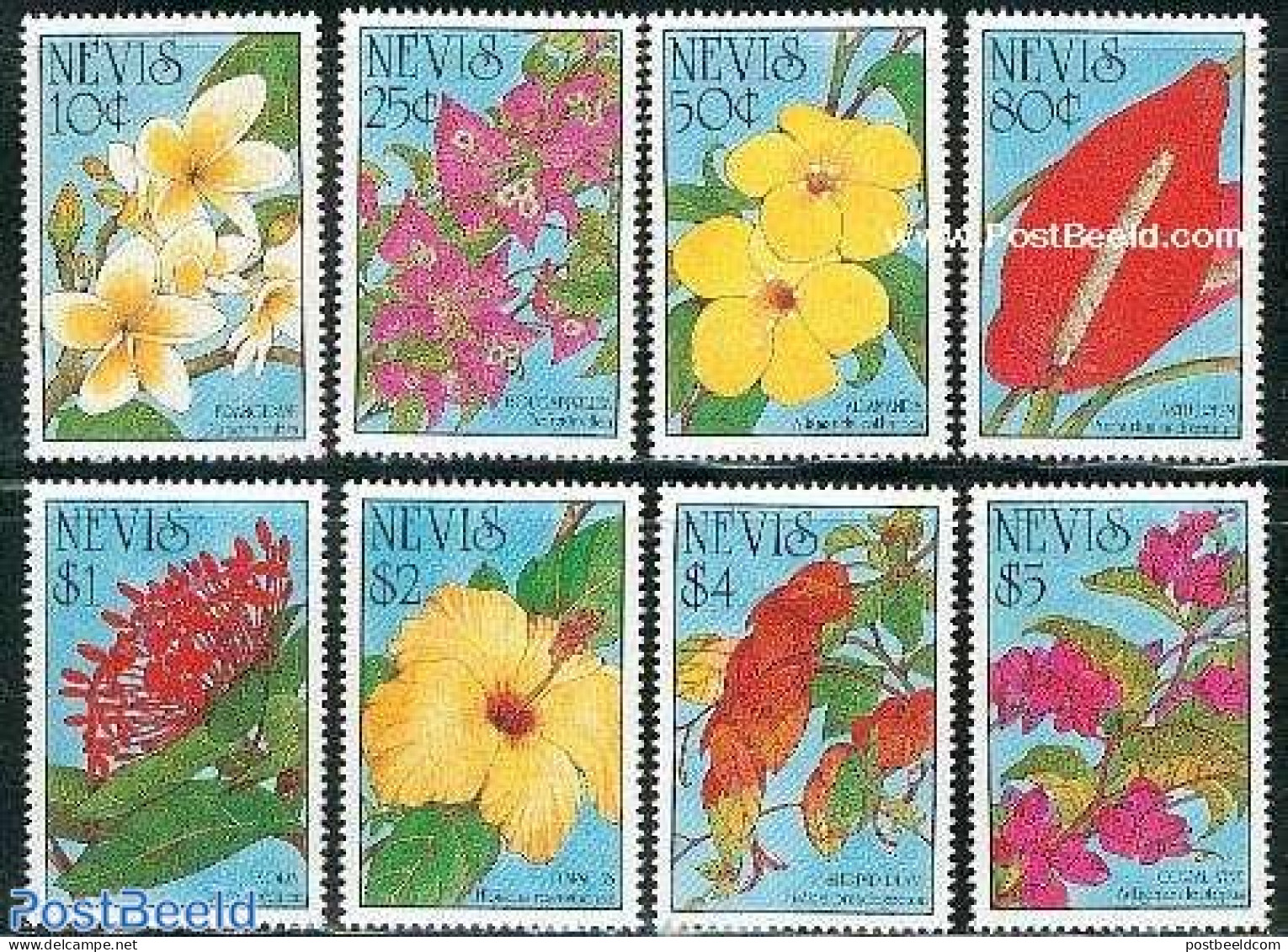 Nevis 1993 Flowers 8v, Mint NH, Nature - Flowers & Plants - St.Kitts And Nevis ( 1983-...)