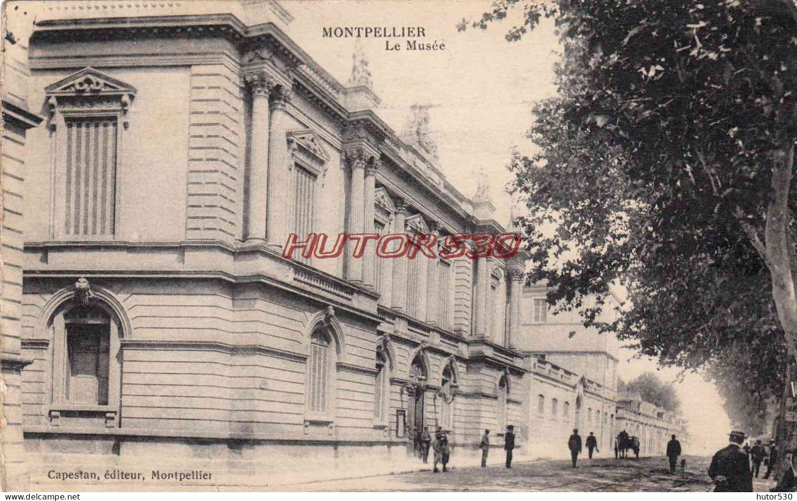 CPA MONTPELLIER - LE MUSEE - Montpellier