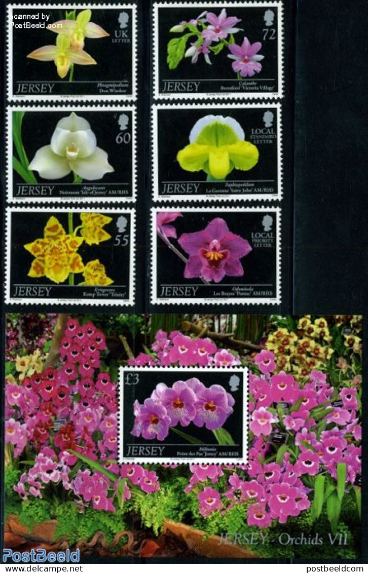 Jersey 2011 Orchids 6v + S/s, Mint NH, Nature - Flowers & Plants - Orchids - Jersey