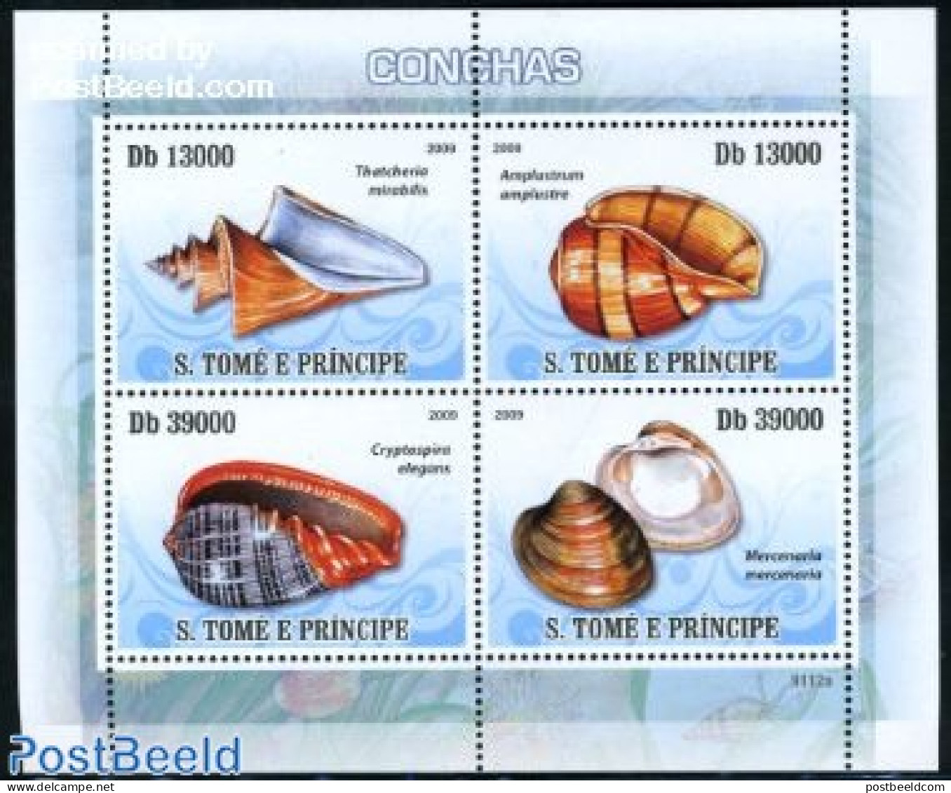 Sao Tome/Principe 2009 Shells 4v M/s, Mint NH - São Tomé Und Príncipe