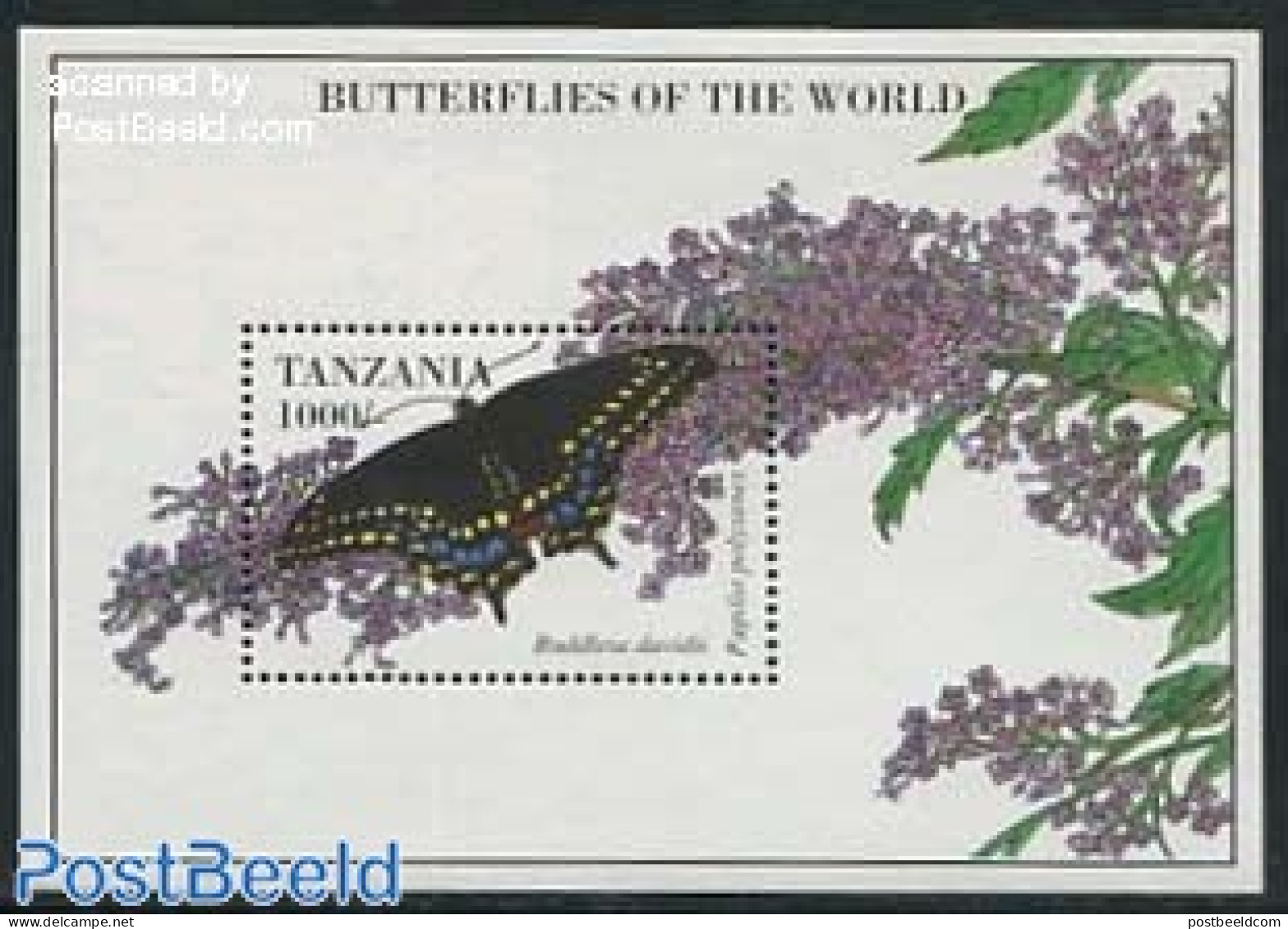 Tanzania 1994 Butterfly, Papilio Polyxenes S/s, Mint NH, Nature - Butterflies - Tansania (1964-...)