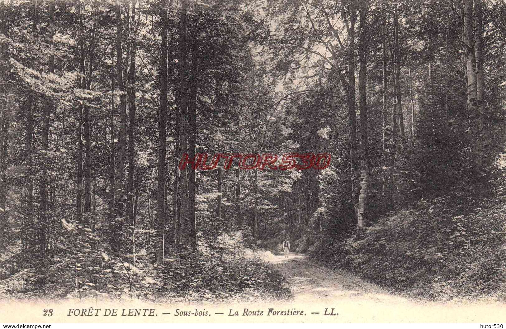 CPA VERCORS - FORET DE LENTE - LA ROUTE FORESTIERE - Vercors