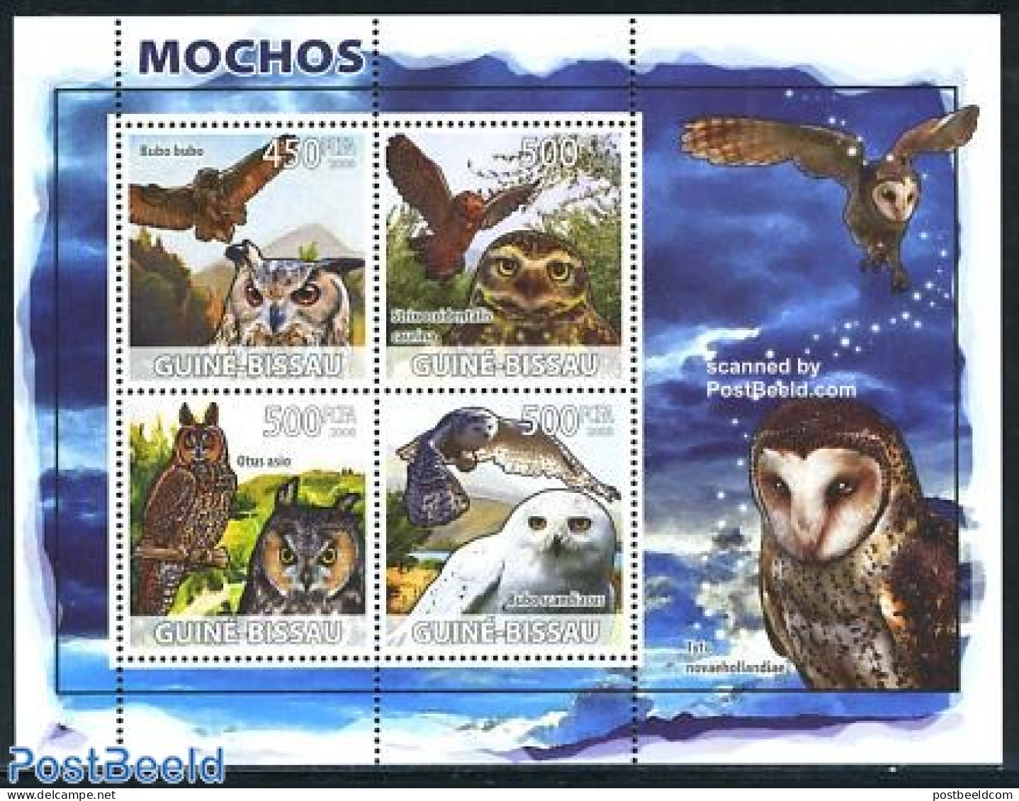 Guinea Bissau 2008 Owls 4v M/s, Mint NH, Nature - Birds - Birds Of Prey - Owls - Guinea-Bissau