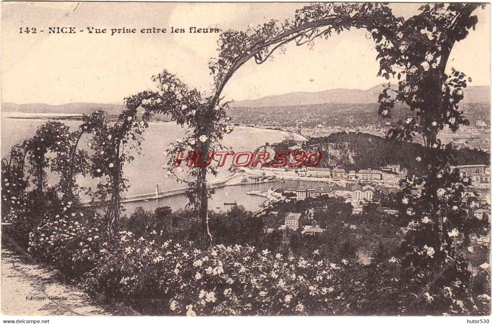 CPA NICE - VUE PRISE ENTRE LES FLEURS - Cartas Panorámicas