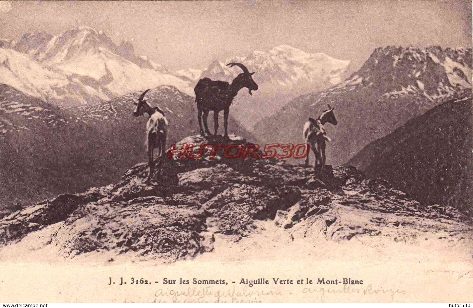 CPA CHAMONIX - AIGUILLE VERTE ET MONT BLANC - Chamonix-Mont-Blanc