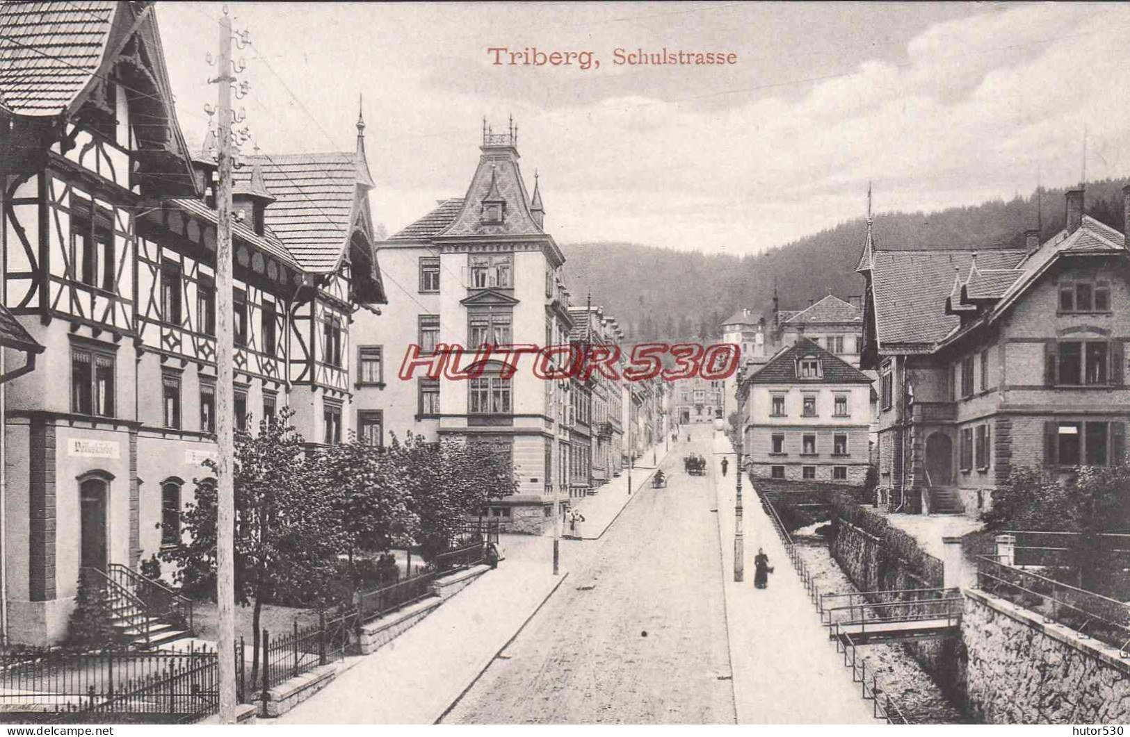 CPA TRIBERG - SCHLULSTRASSE - Triberg