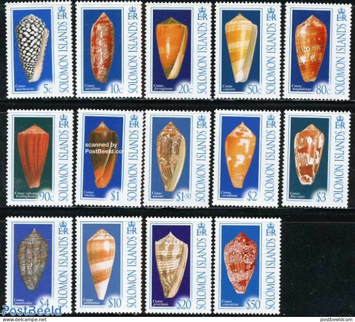 Solomon Islands 2006 Definitives, Shells 14v, Mint NH, Nature - Shells & Crustaceans - Mundo Aquatico