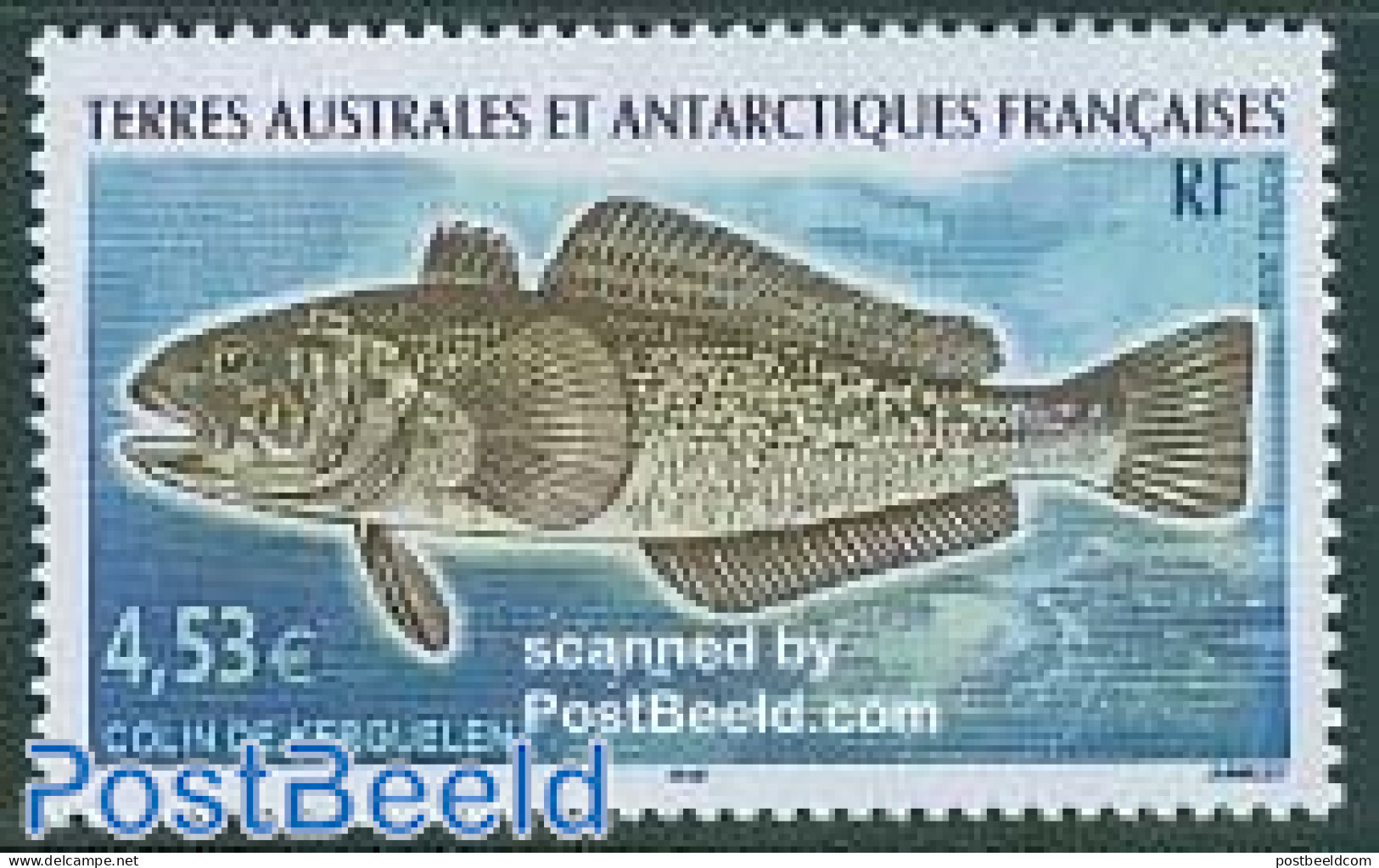 French Antarctic Territory 2006 Fish 1v, Colin De Kerguelen, Mint NH, Nature - Fish - Nuevos