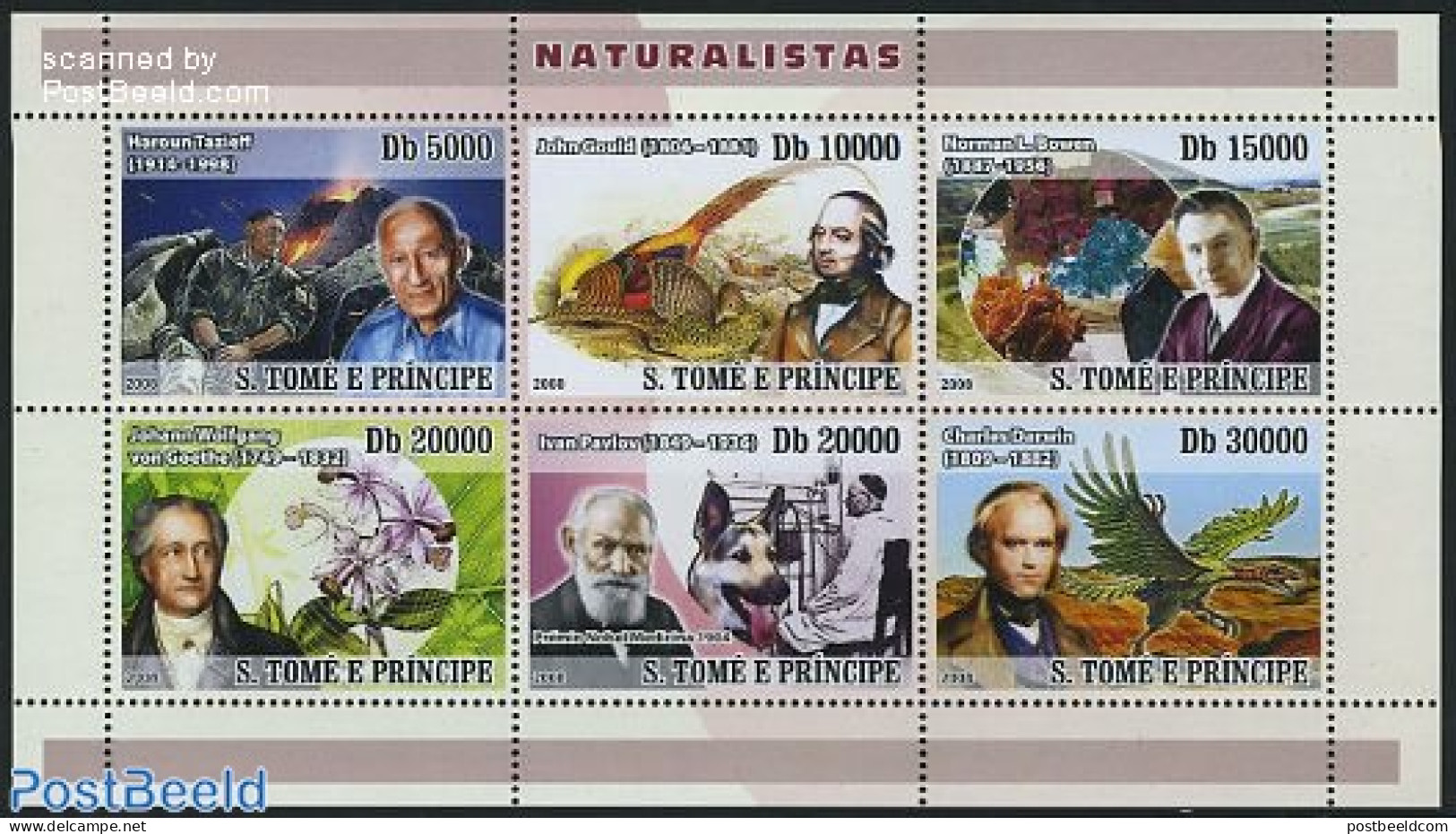 Sao Tome/Principe 2008 Naturalists 6v M/s, Mint NH, History - Nature - Sport - Geology - Birds - Dogs - Orchids - Poul.. - Prehistorisch