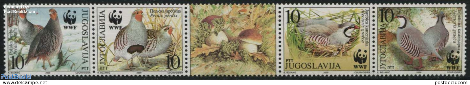 Yugoslavia 2000 WWF, Birds 4v+tab (tab May Vary) [::T::], Mint NH, Nature - Birds - World Wildlife Fund (WWF) - Ungebraucht