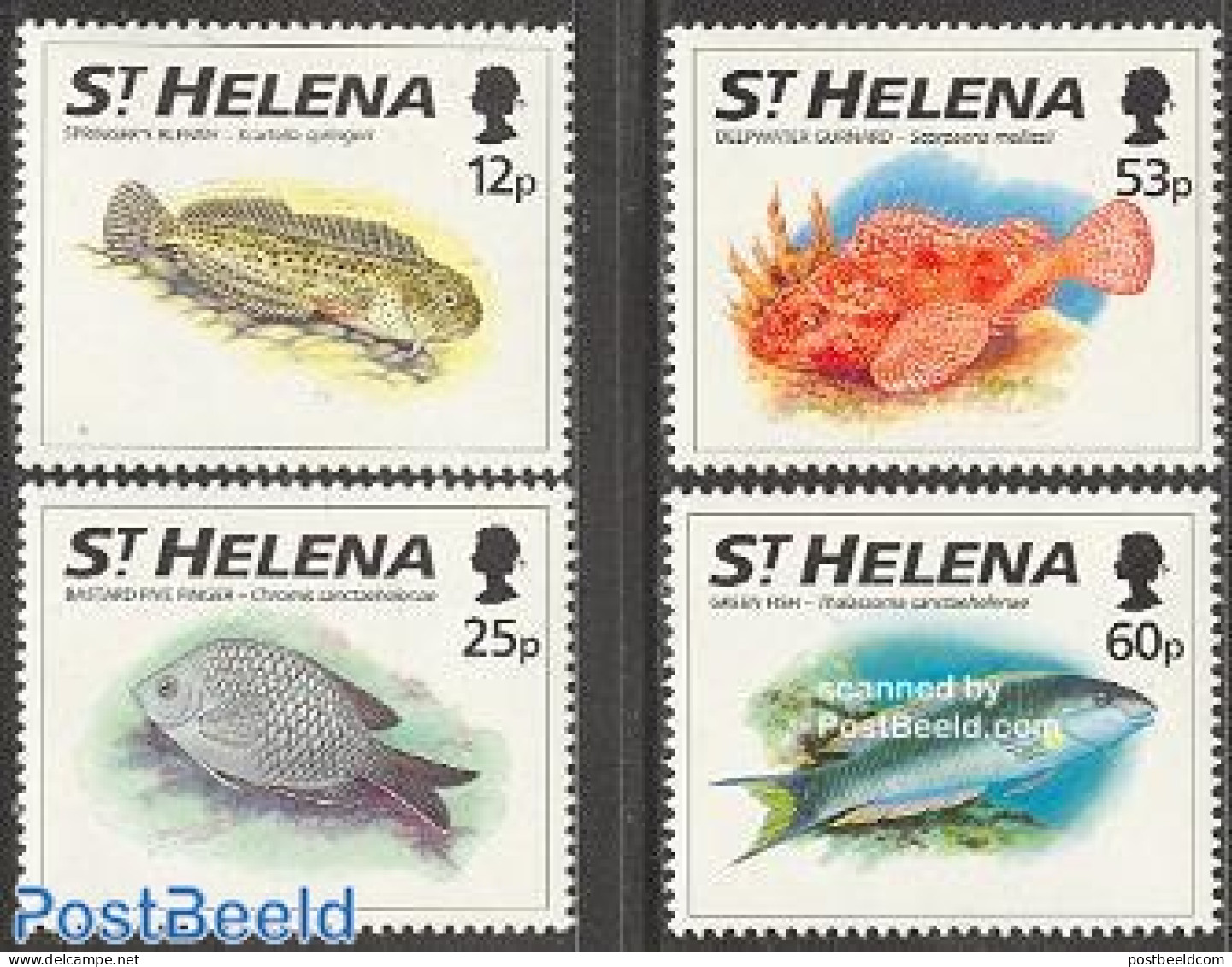 Saint Helena 1994 Fish 4v, Mint NH, Nature - Fish - Vissen