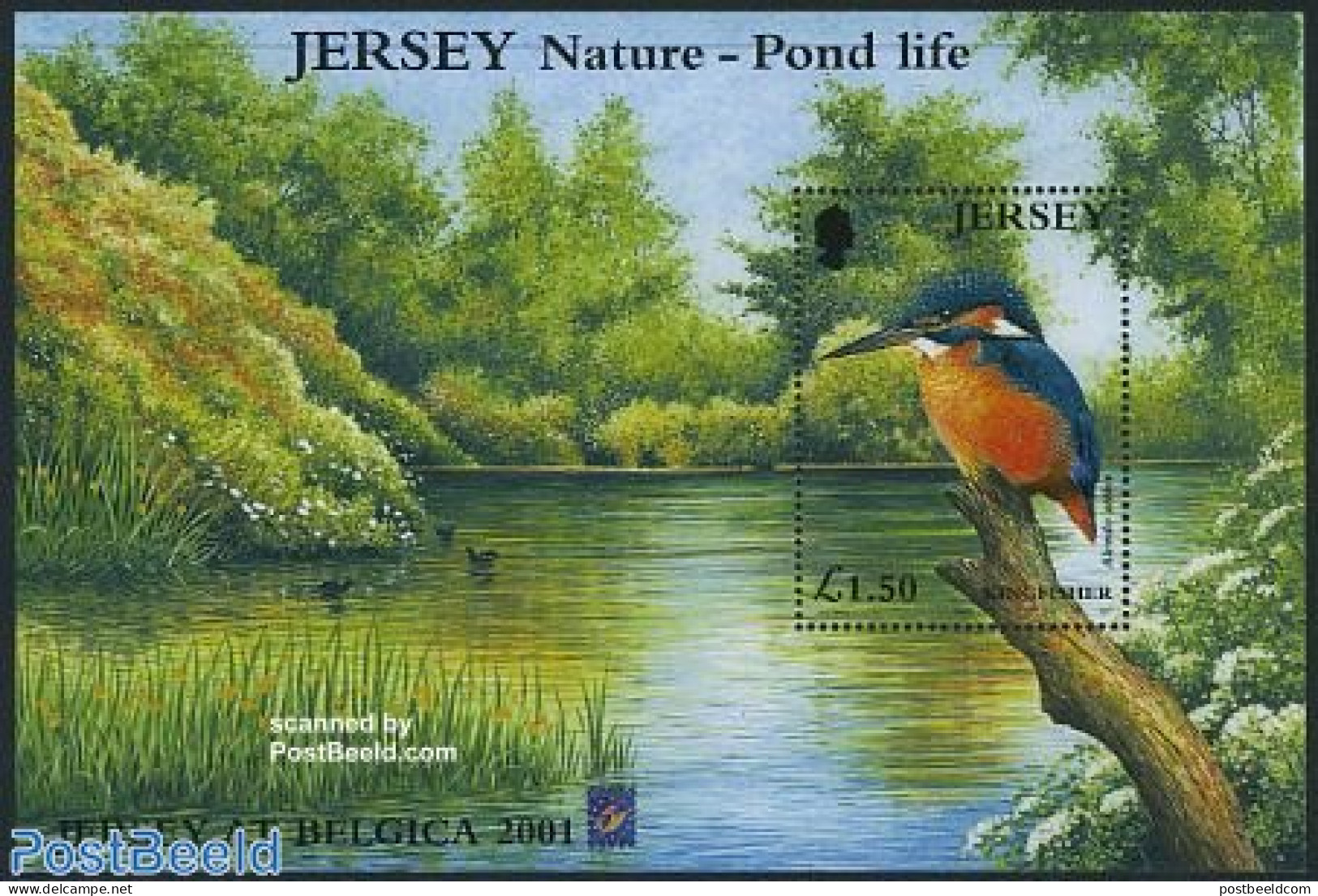 Jersey 2001 BELGICA, Kingfisher S/s, Mint NH, Nature - Birds - Philately - Kingfishers - Jersey