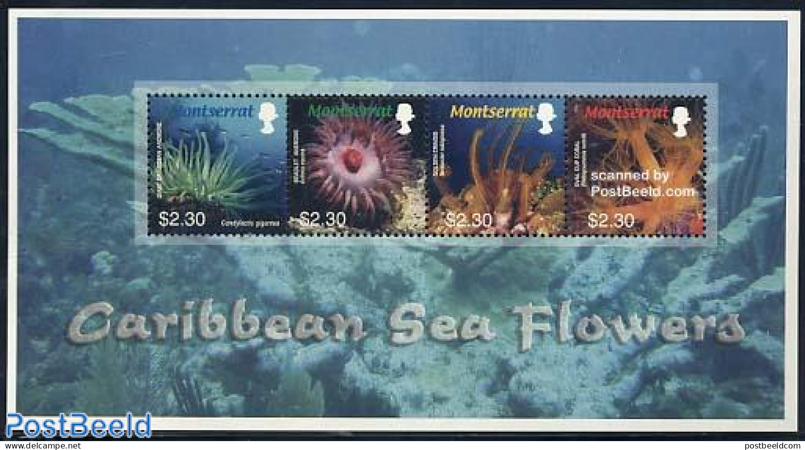 Montserrat 2006 Caribbean Sea Flowers 4v M/s, Mint NH, Nature - Fish - Poissons