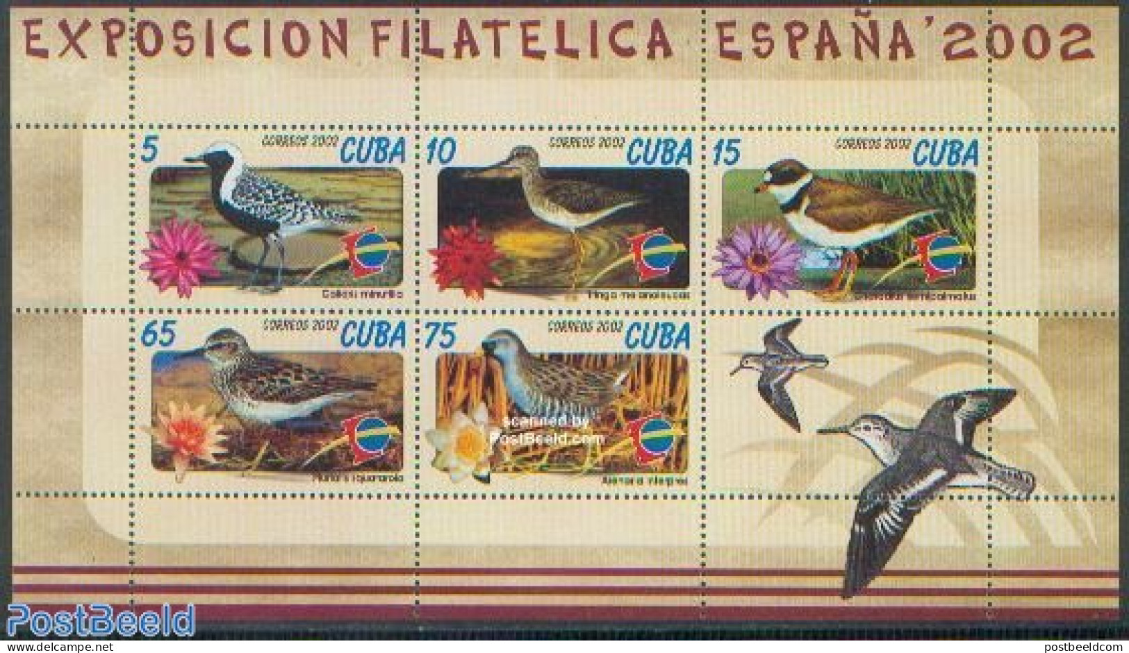 Cuba 2002 Espana, Birds 5v M/s, Mint NH, Nature - Birds - Flowers & Plants - Ungebraucht