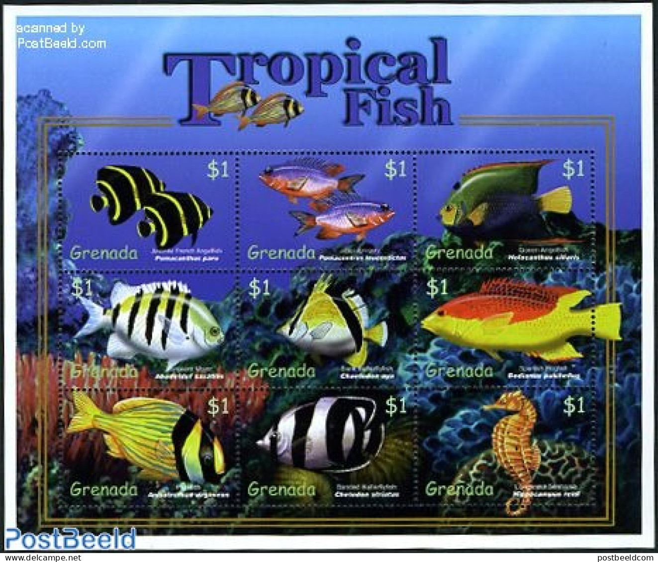 Grenada 2000 Tropical Fish 9v M/s, Mint NH, Nature - Fish - Peces
