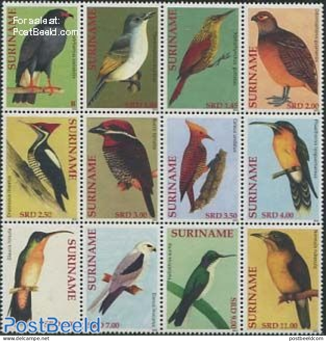 Suriname, Republic 2012 Birds 12v, Sheetlet, Mint NH, Nature - Birds - Suriname