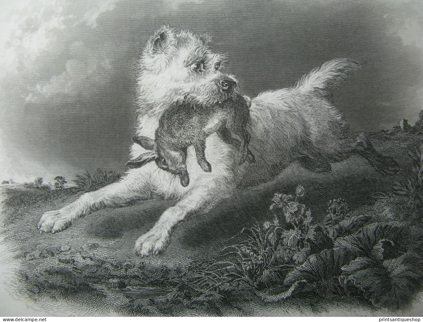 1830 Antique Print Original Engraving Dog Hunting Rabbit Fancier James Bateman - Prints & Engravings
