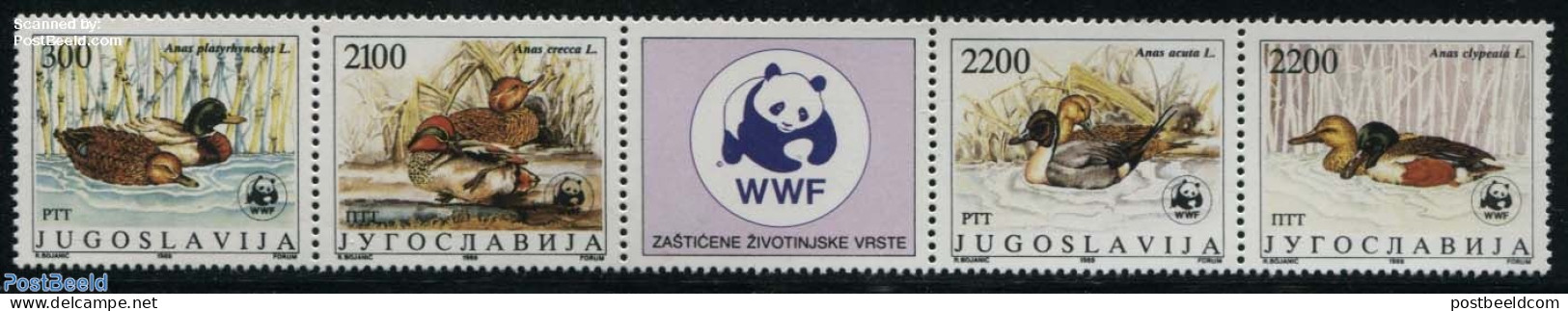 Yugoslavia 1989 WWF, Ducks 4v+tab [::T::], Mint NH, Nature - Birds - Ducks - World Wildlife Fund (WWF) - Ongebruikt