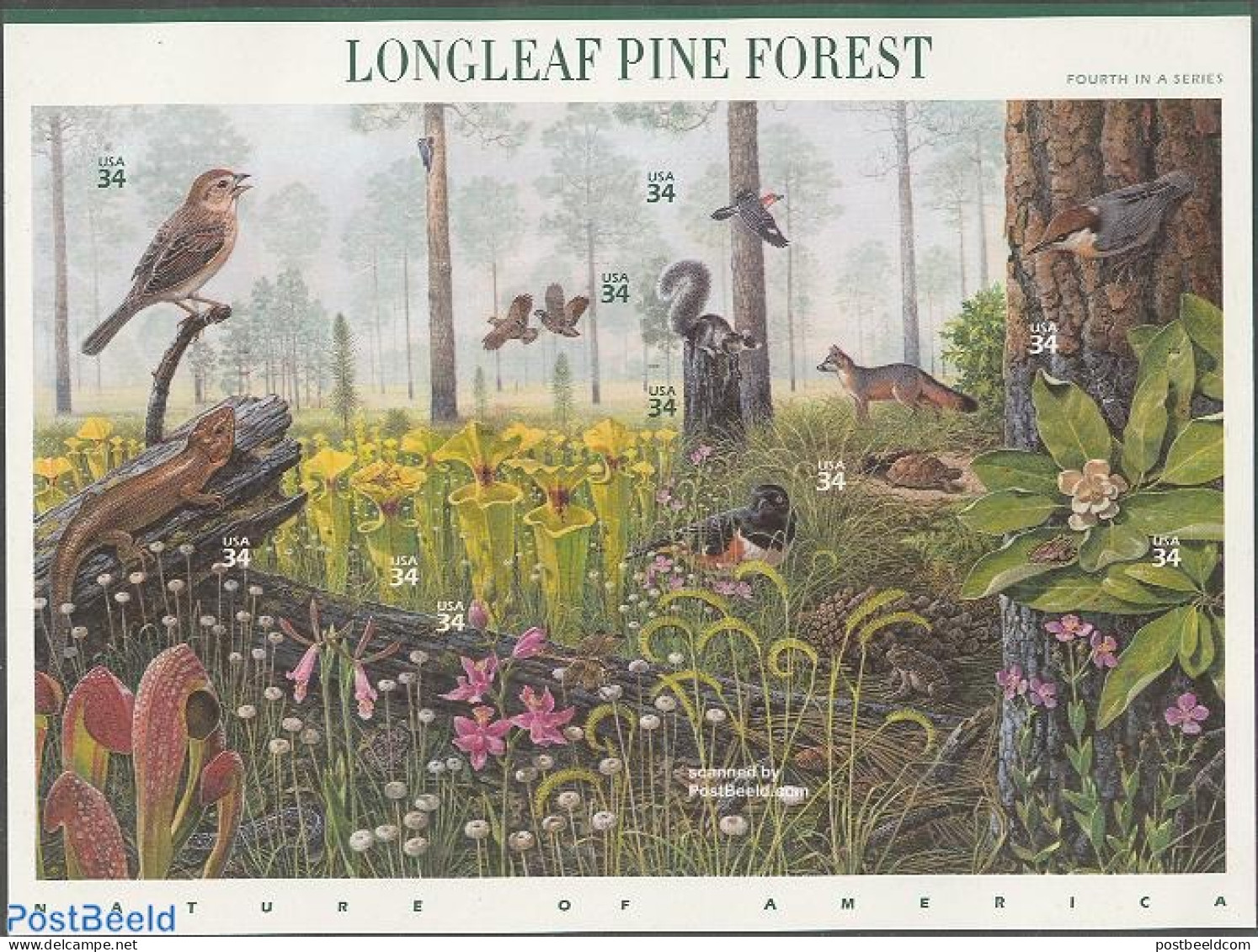 United States Of America 2002 Longleaf Pine Forest 10v M/s, Mint NH, Nature - Animals (others & Mixed) - Birds - Flowe.. - Ungebraucht