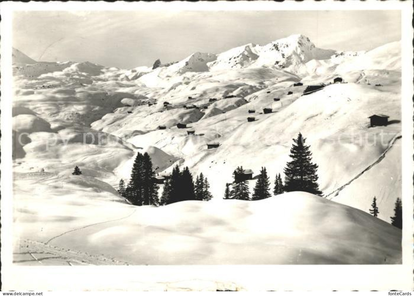 11837270 Arosa GR Infang Koernli-Skigebiet Skispuren Arosa GR - Autres & Non Classés