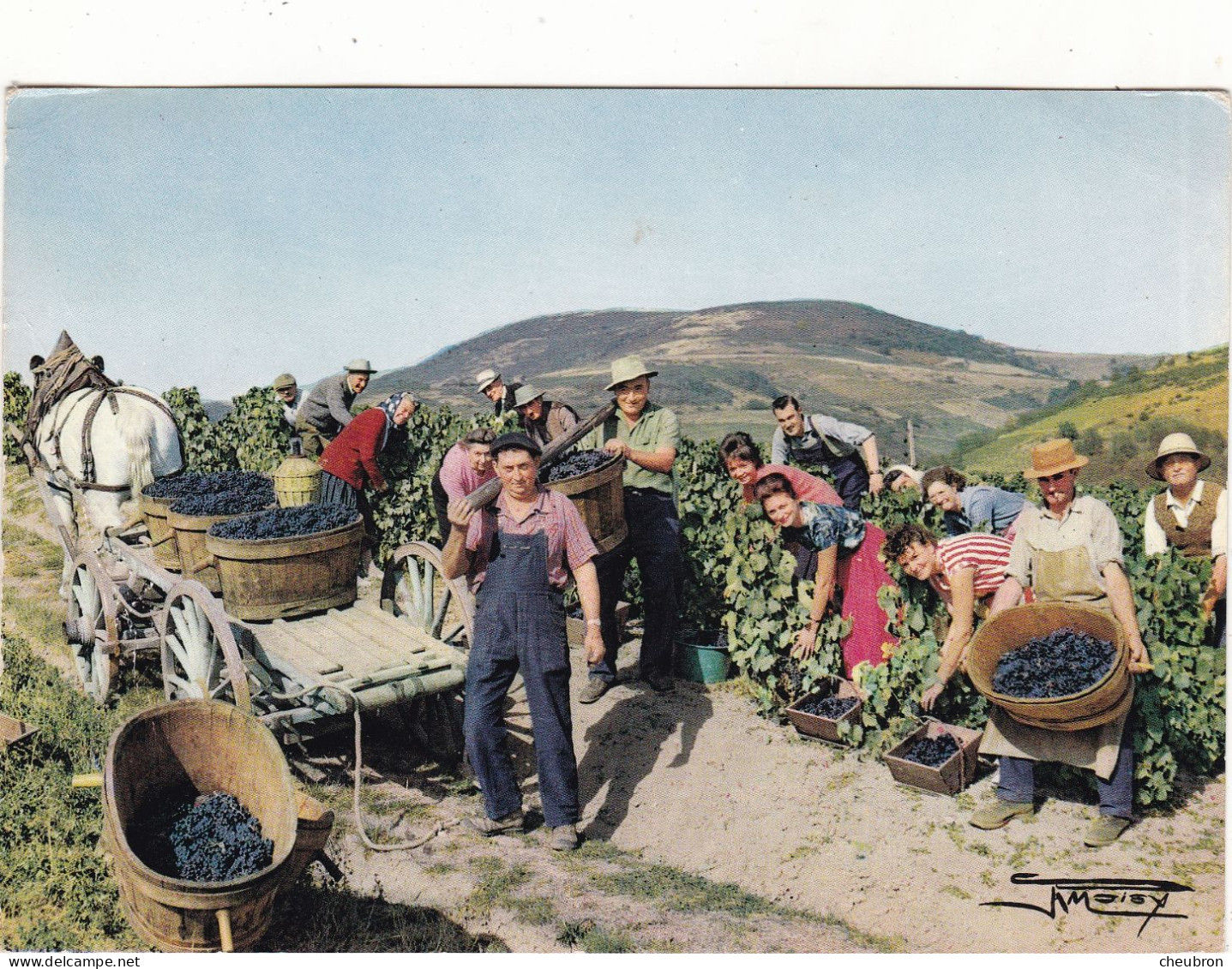 VIGNES. AGRICULTURE. POUILLY .LE MONIAL (ENVOYE DE). VENDANGES BEAUJOLAISES. ANIMATION. ANNEE 1968 + TEXTE - Vines