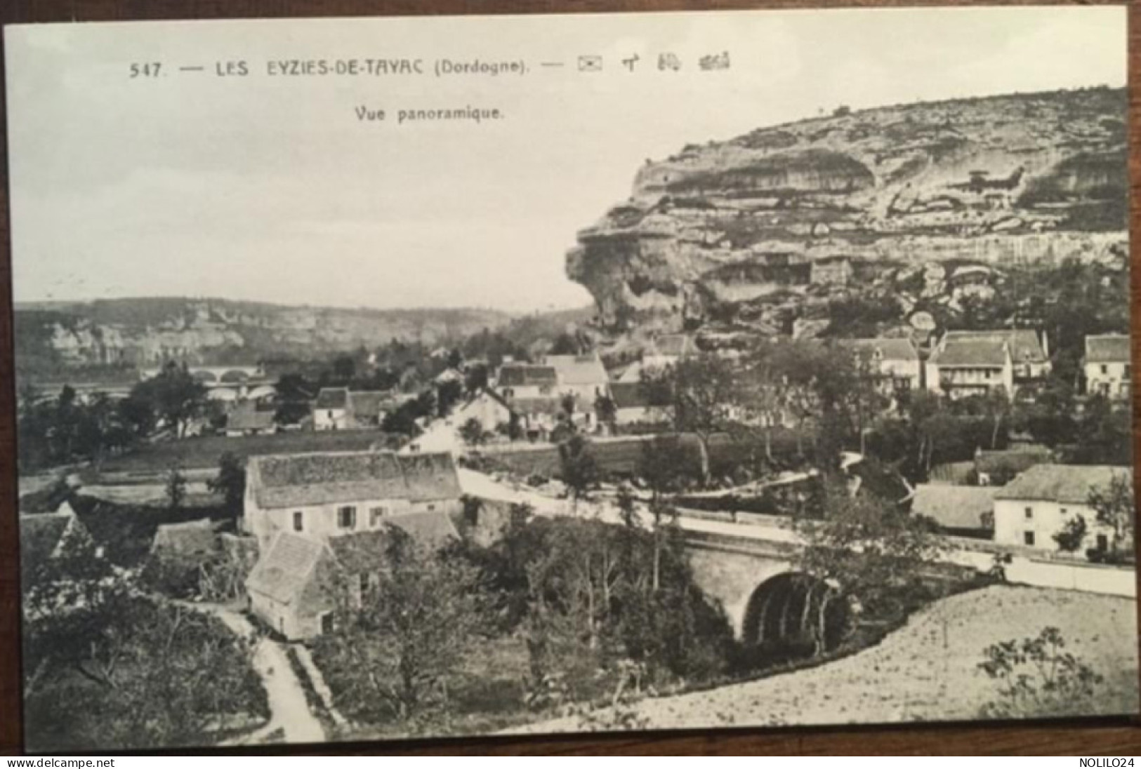 Cpa 24 Dordogne, Les Eyzies De Tayac, Vue Panoramique, éd Lefebvre, Non écrite - Les Eyzies