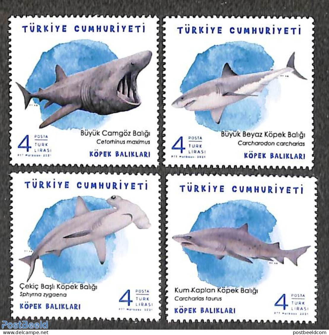 Türkiye 2021 Sharks 4v, Mint NH, Nature - Fish - Sharks - Other & Unclassified