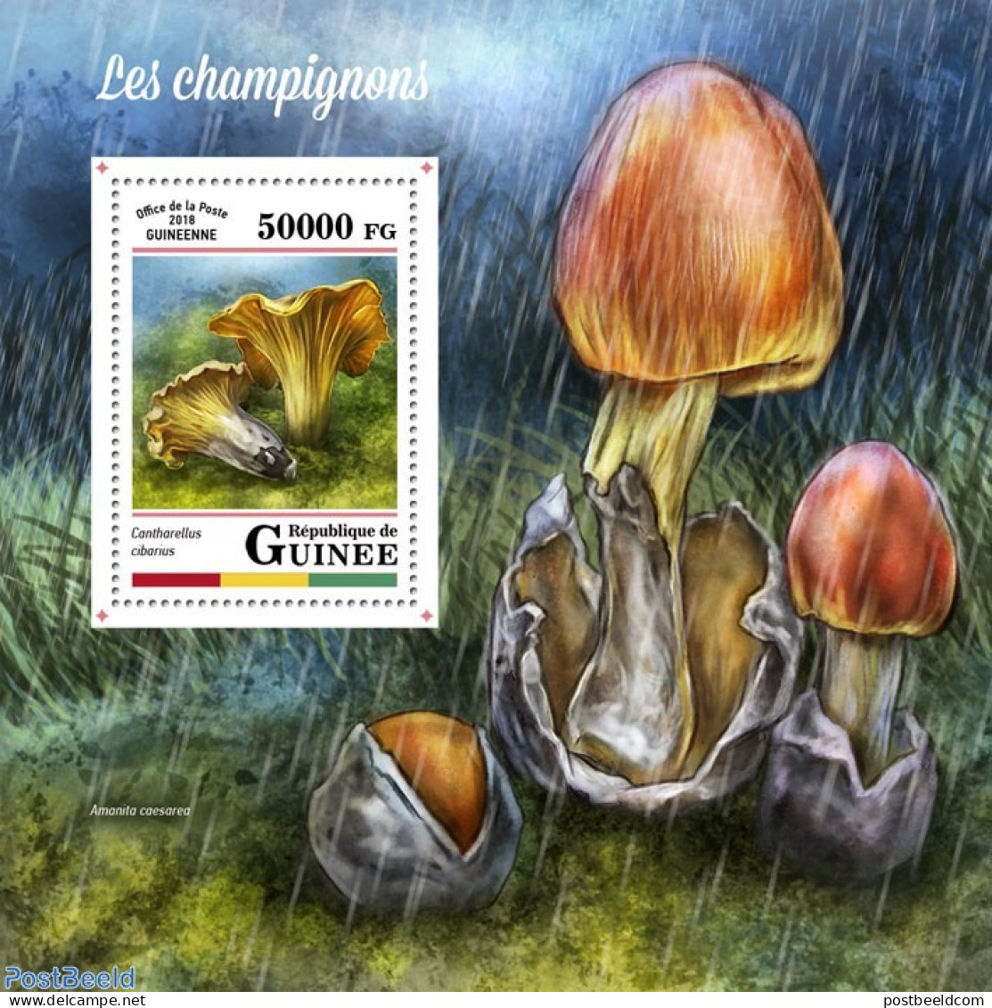 Guinea, Republic 2018 Mushrooms, Mint NH, Nature - Mushrooms - Mushrooms