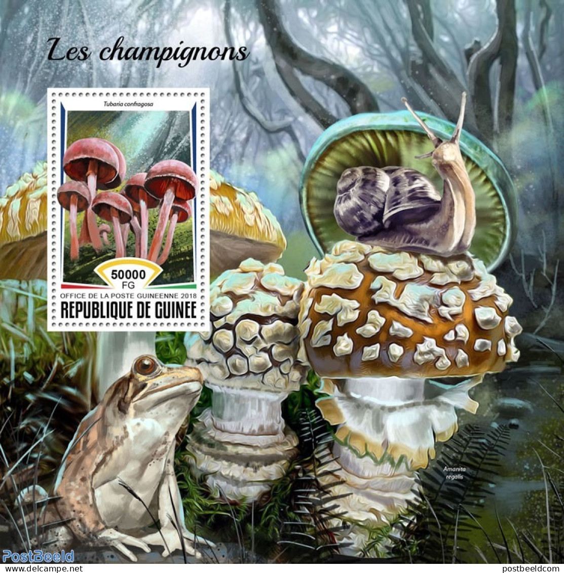 Guinea, Republic 2018 Mushrooms, Mint NH, Nature - Animals (others & Mixed) - Frogs & Toads - Mushrooms - Champignons