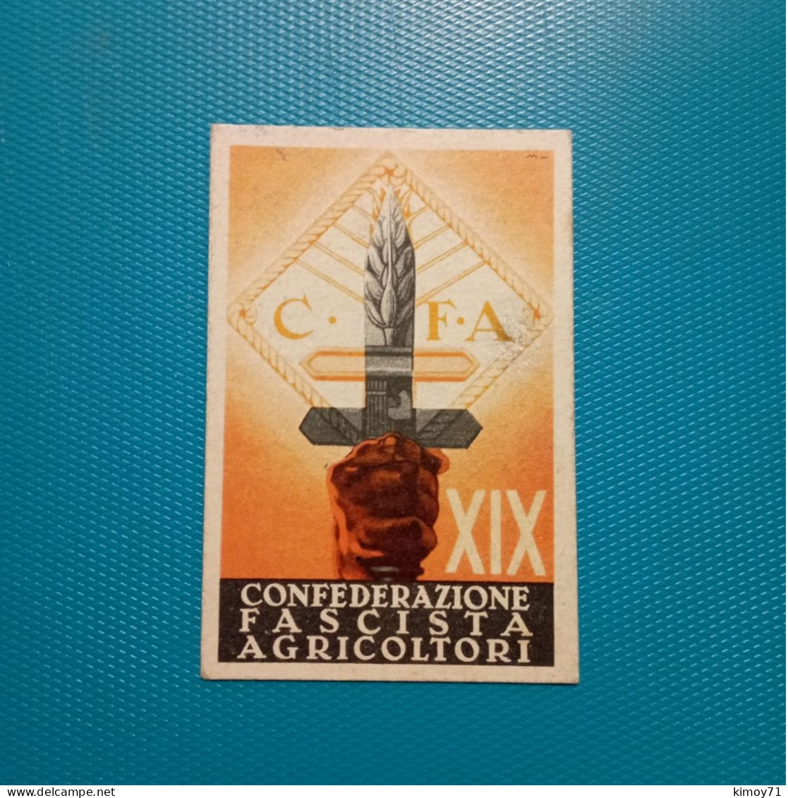 Tessera Confederazione Fascista Agricoltori XIX - Documents Historiques