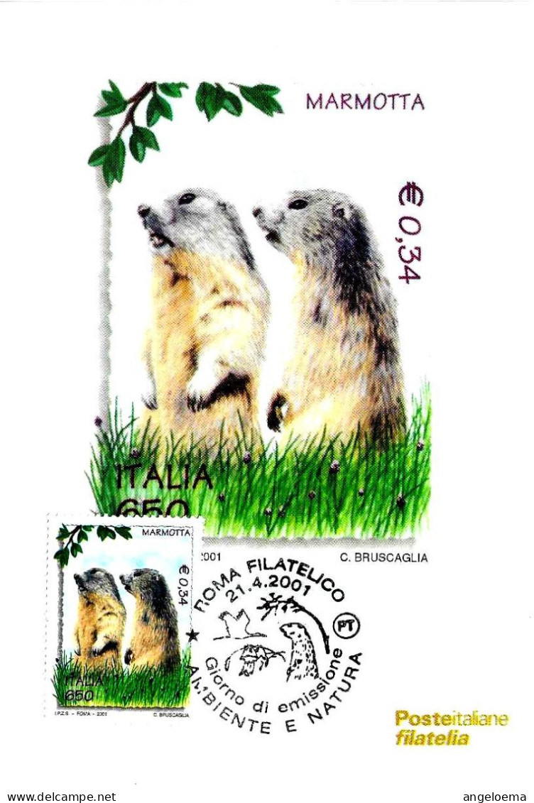 ITALIA ITALY - 2001 ROMA Ambiente E Natura: MARMOTTA Annullo Fdc Su Cartolina PT - 54 - Knaagdieren