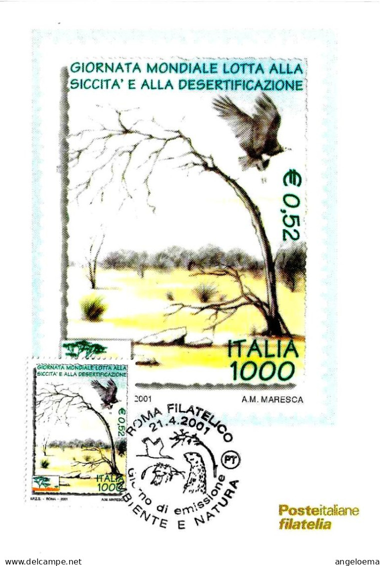 ITALIA ITALY - 2001 ROMA Ambiente Natura: Giornata Lotta Siccità E Desertificazione Annullo Fdc Su Cartolina PT - 1209 - Environment & Climate Protection