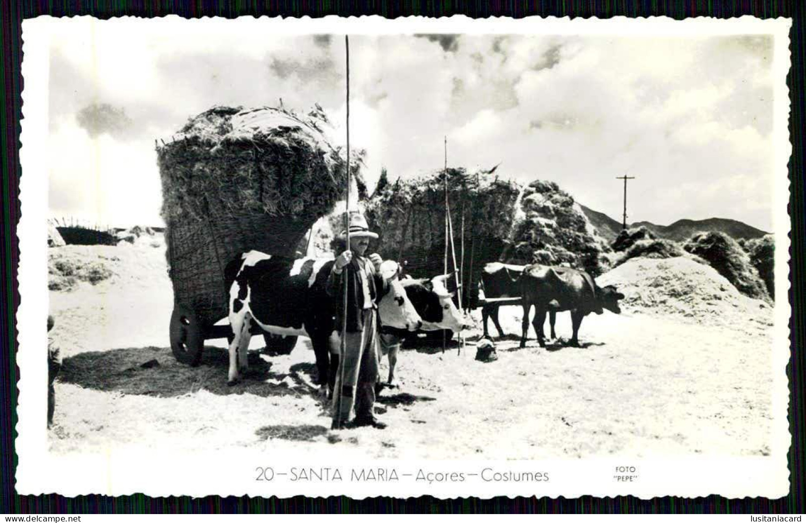 SANTA MARIA - COSTUMES - ( Ed. J. Elizabeth / Foto "Pepe" Nº 20) Carte Postale - Açores