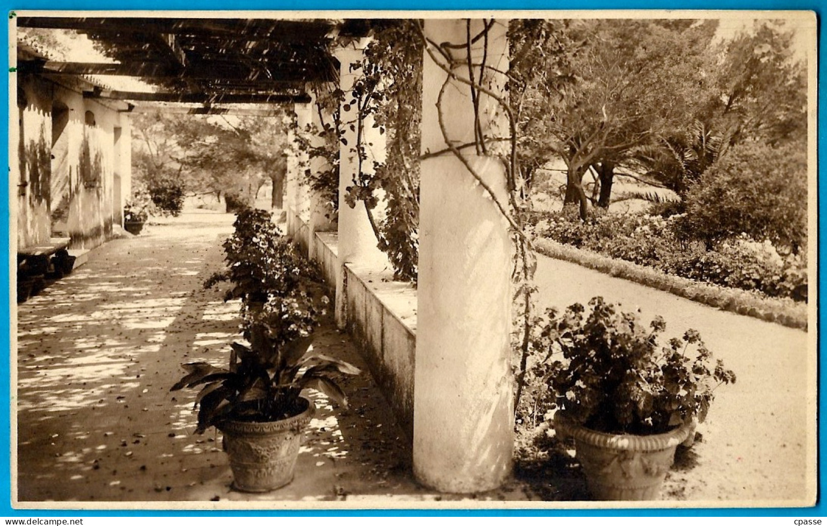 CPA CARTE-PHOTO 83 "Jardin Fleuri" à BOULOURIS Var - Boulouris