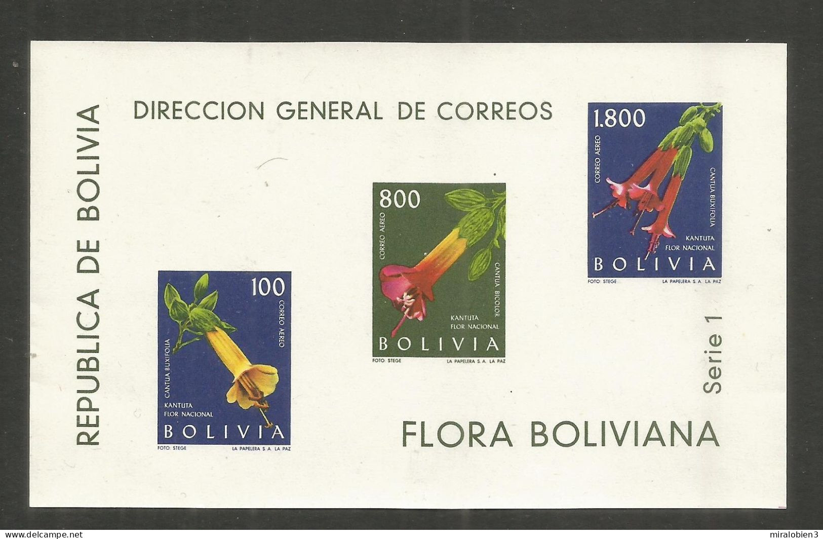 BOLIVIA HOJA BLOQUE YVERT NUM. 15 ** NUEVA SIN FIJASELLOS - Bolivien