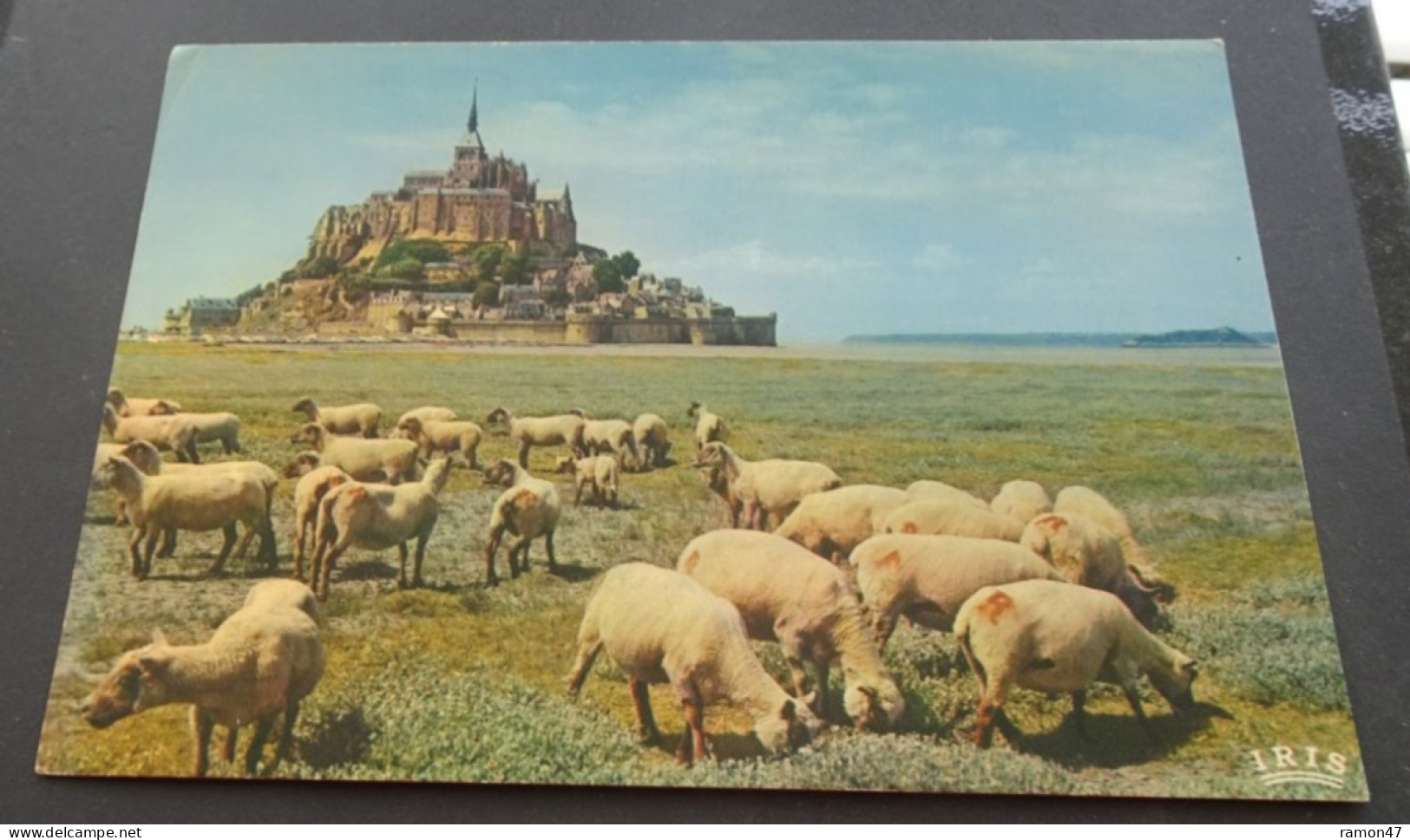 Le Mont Saint-Michel - Le Rocher De Tombelaine Et Les Prés Salés - Cap-Théojac, Editions Réunies, Panazol - Le Mont Saint Michel