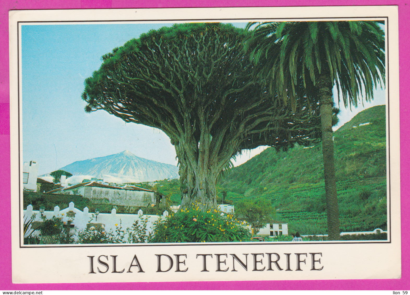 293788 / Spain - Isle De Tenerife PC 1991 Los Realejos USED 45+5+5Pta King Juan Carlos I Flamme "... EL CÓDIGO POSTAL" - Briefe U. Dokumente