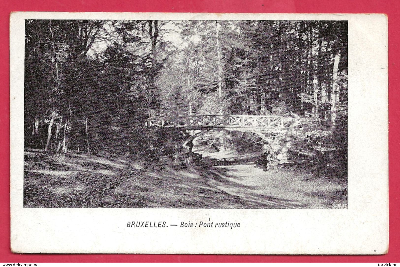 C.P. Bruxelles = Bois  De La Cambre  : Pont  Rustique - Brüssel (Stadt)