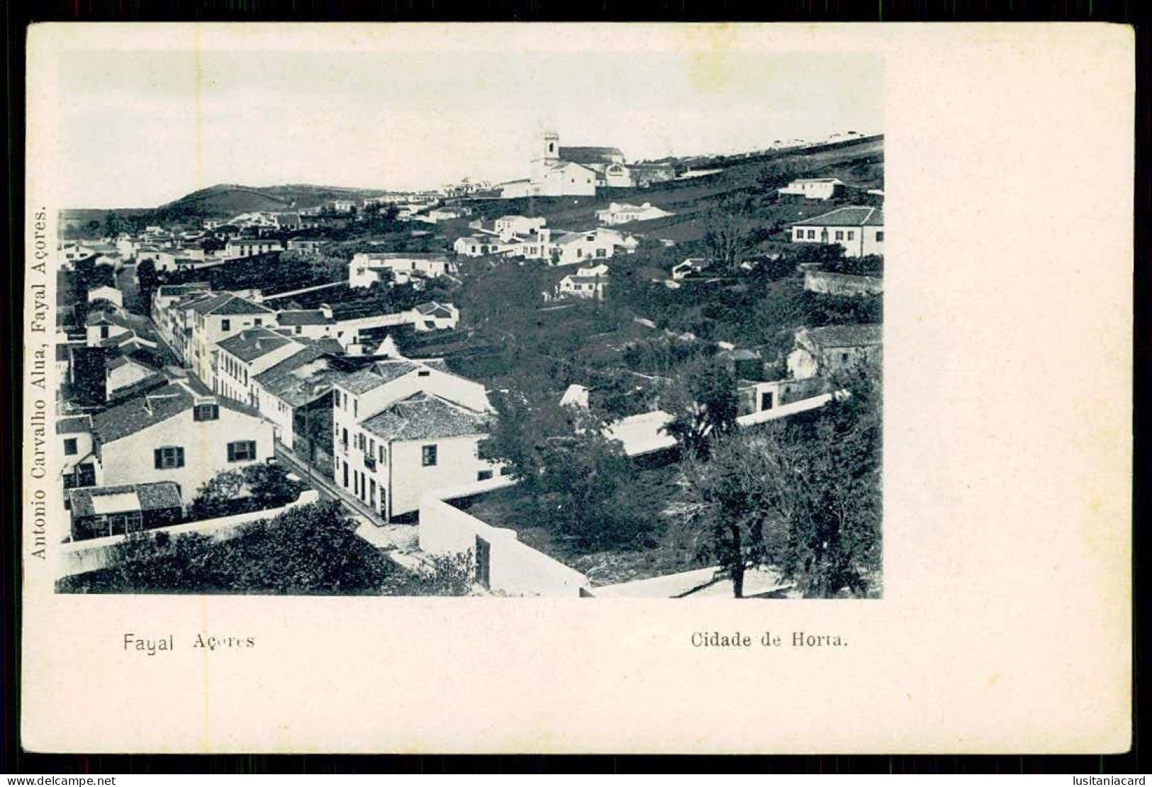 FAIAL - HORTA - Cidade Da Horta( Ed. Antonio Carvalho Alua)  Carte Postale - Açores