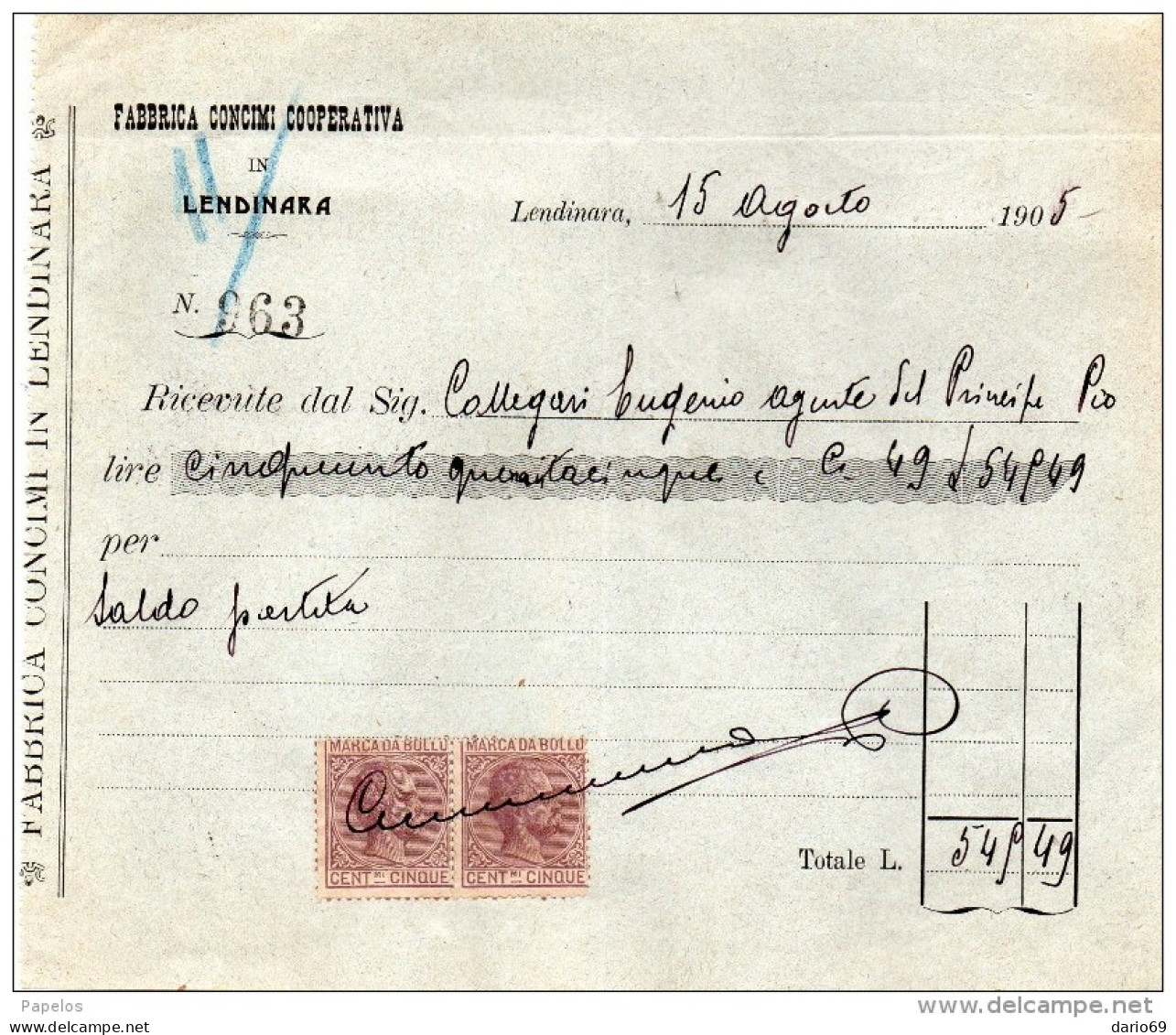 1905     LENDINARA ROVIGO - FABBRICA CONCIMI CHIMICI - Italië