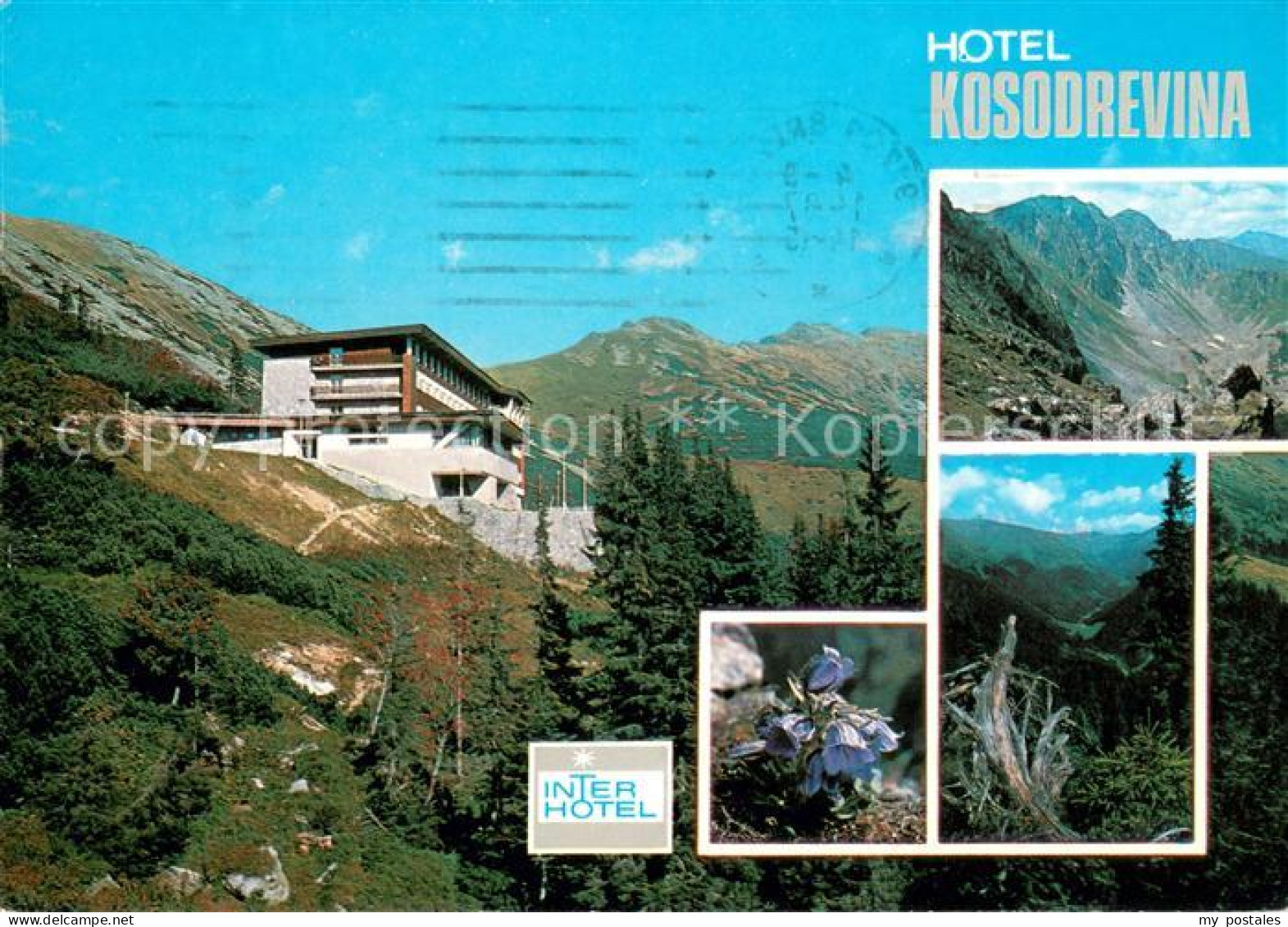 73633338 Tale Brezno Hotel Kosodrevina Flora Gebirgspanorama Niedere Tatra  - Slowakije