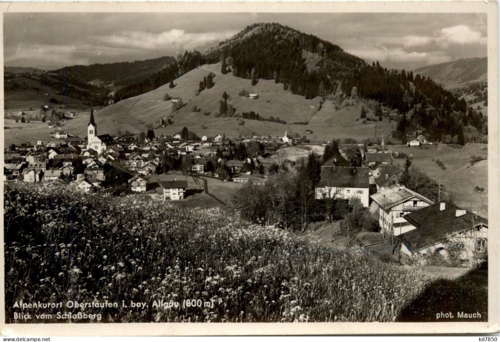 Oberstaufen, Allgäu, Blick Vom Schlossberg - Oberstaufen