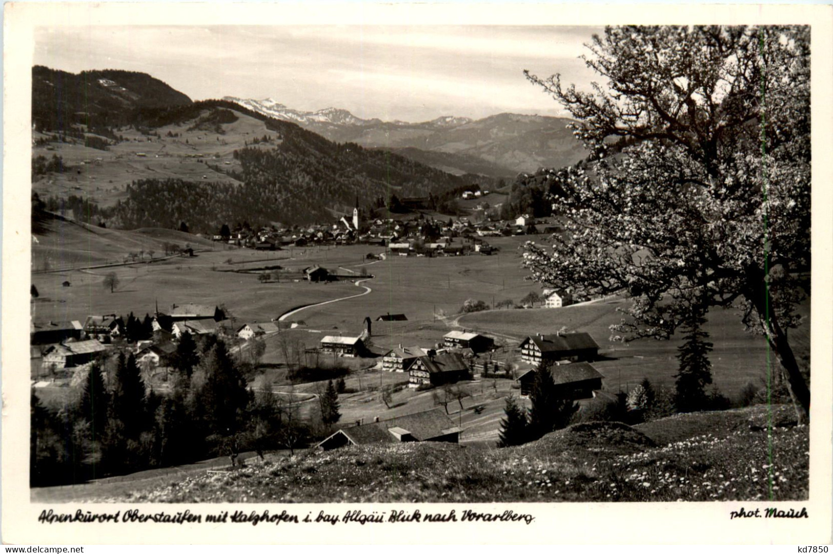 Oberstaufen, Allgäu, Mit Blick Nach Vorarlberg - Oberstaufen