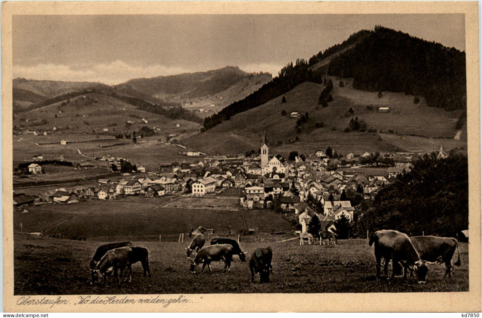 Oberstaufen, Allgäu, Wo Die Herden Weiden Gehen - Oberstaufen