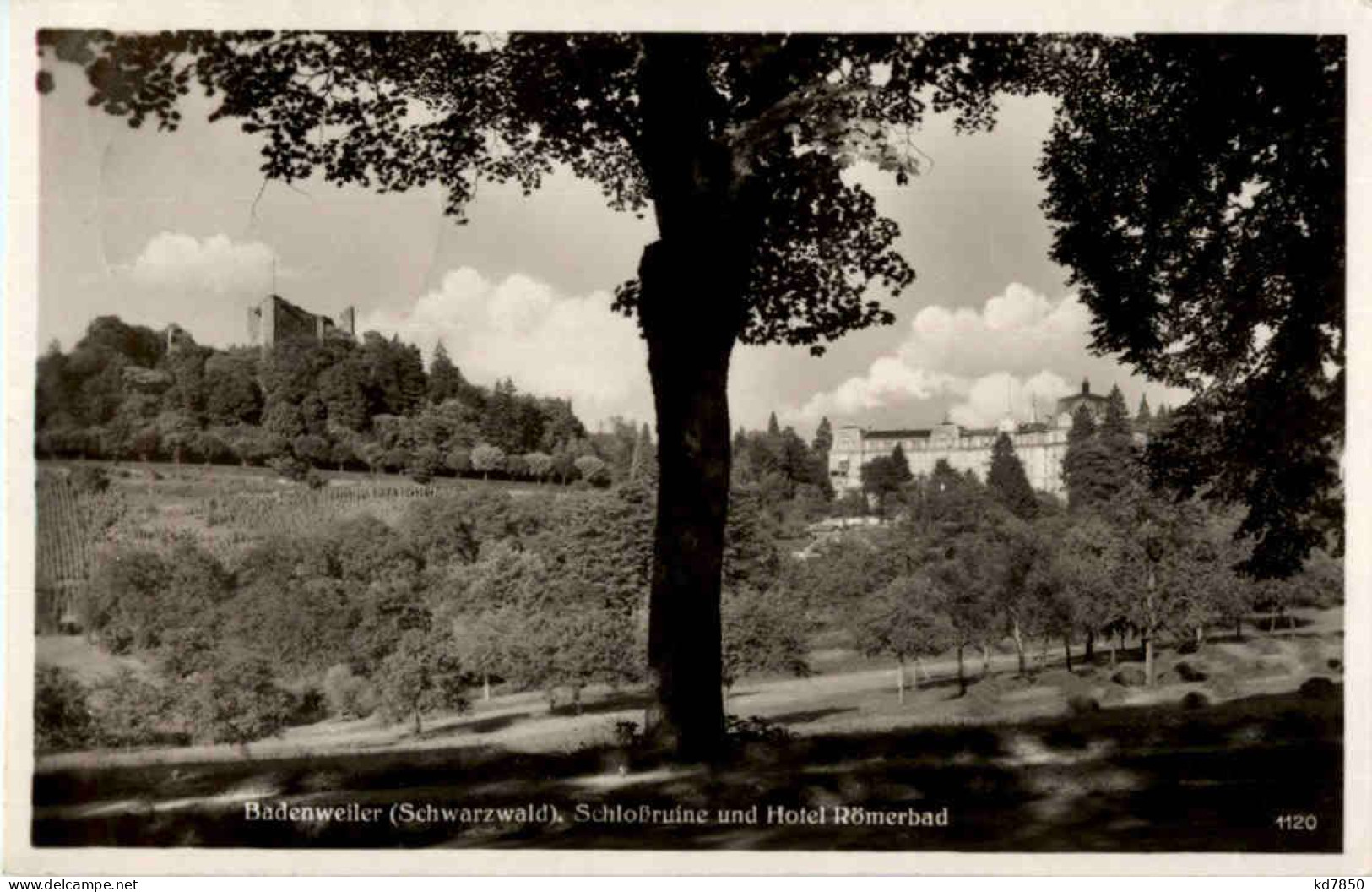 Badenweiler - Schlossruine - Badenweiler