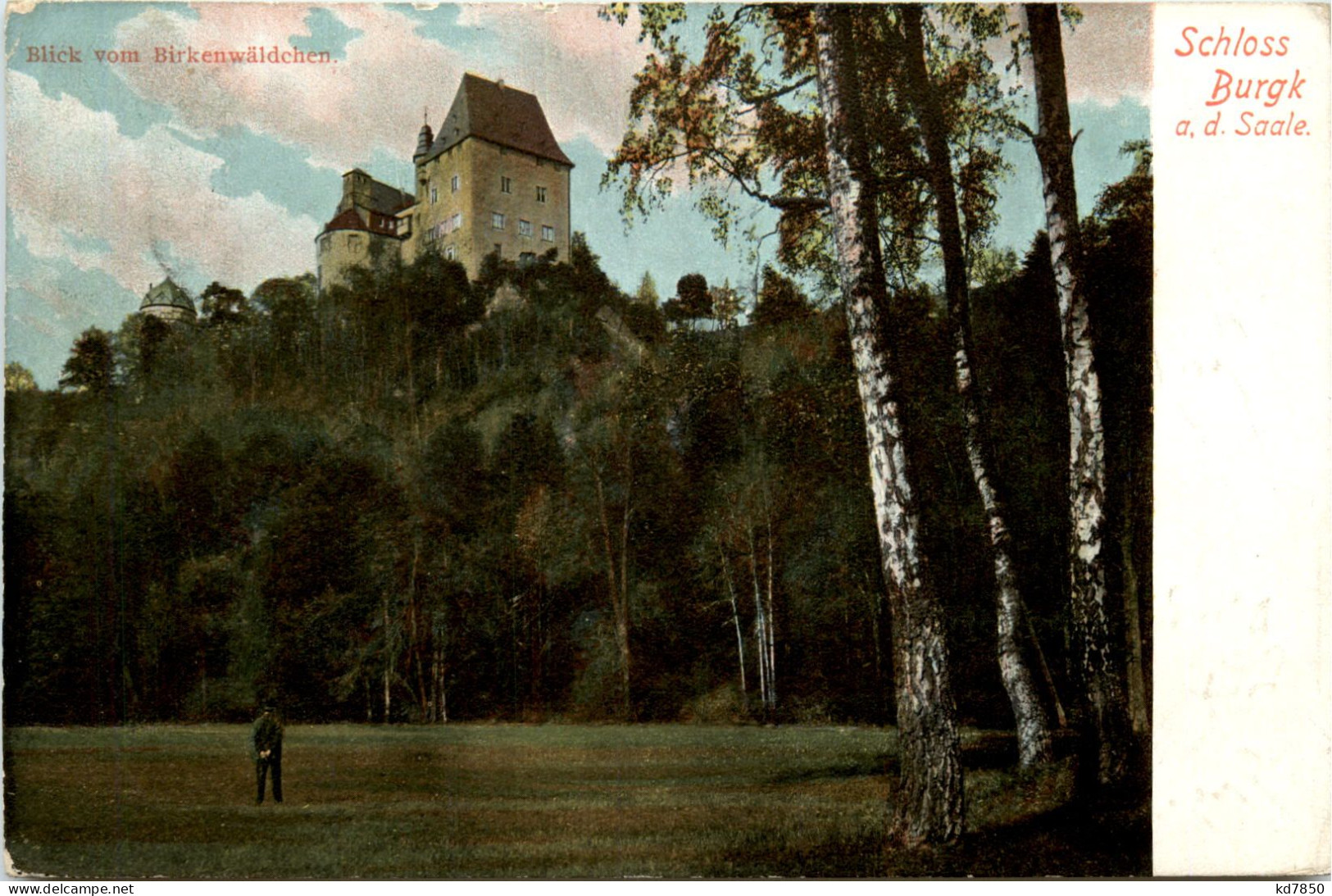 Burgk, Schloss Burgk An Der Saale, Blick Vom Birkenwäldchen - Schleiz