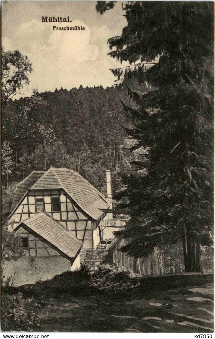 Froschmühle Im Mühltal - Eisenberg - Eisenberg