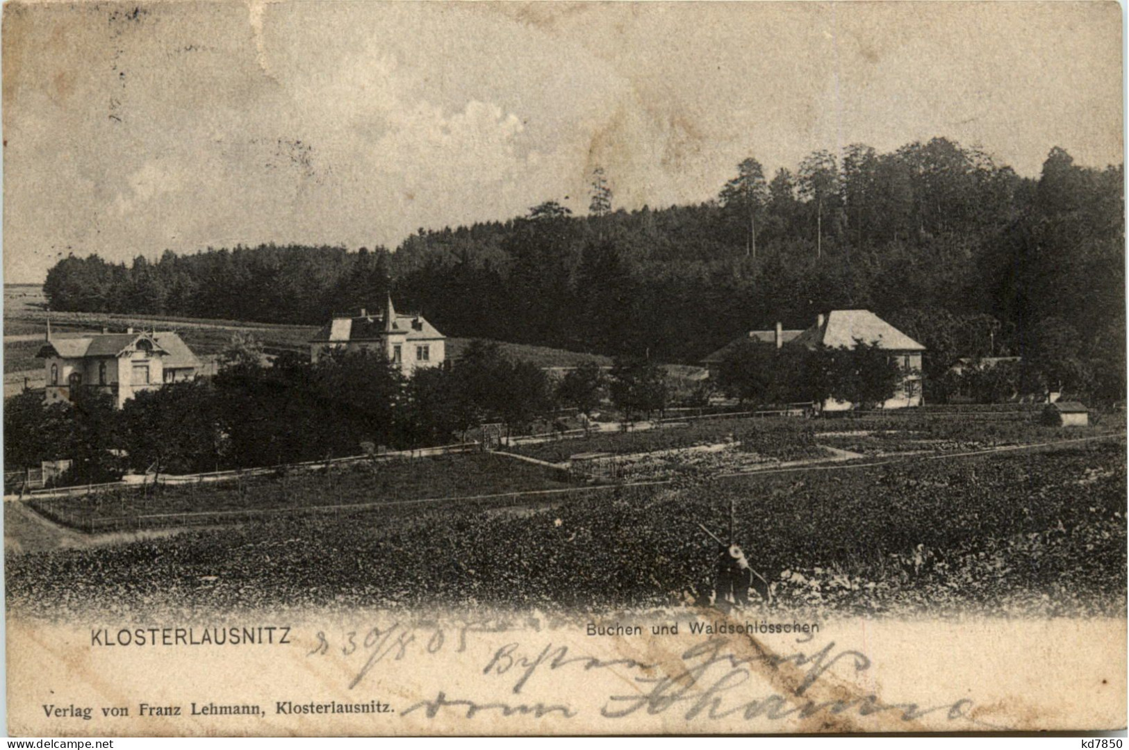 Bad Klosterlausnitz, Buchen Und Waldschlösschen - Bad Klosterlausnitz